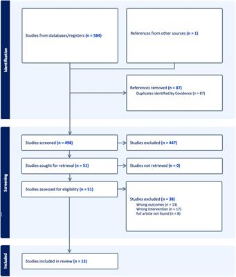 Environmental determinants for participation among stroke survivors in Africa, a scoping review